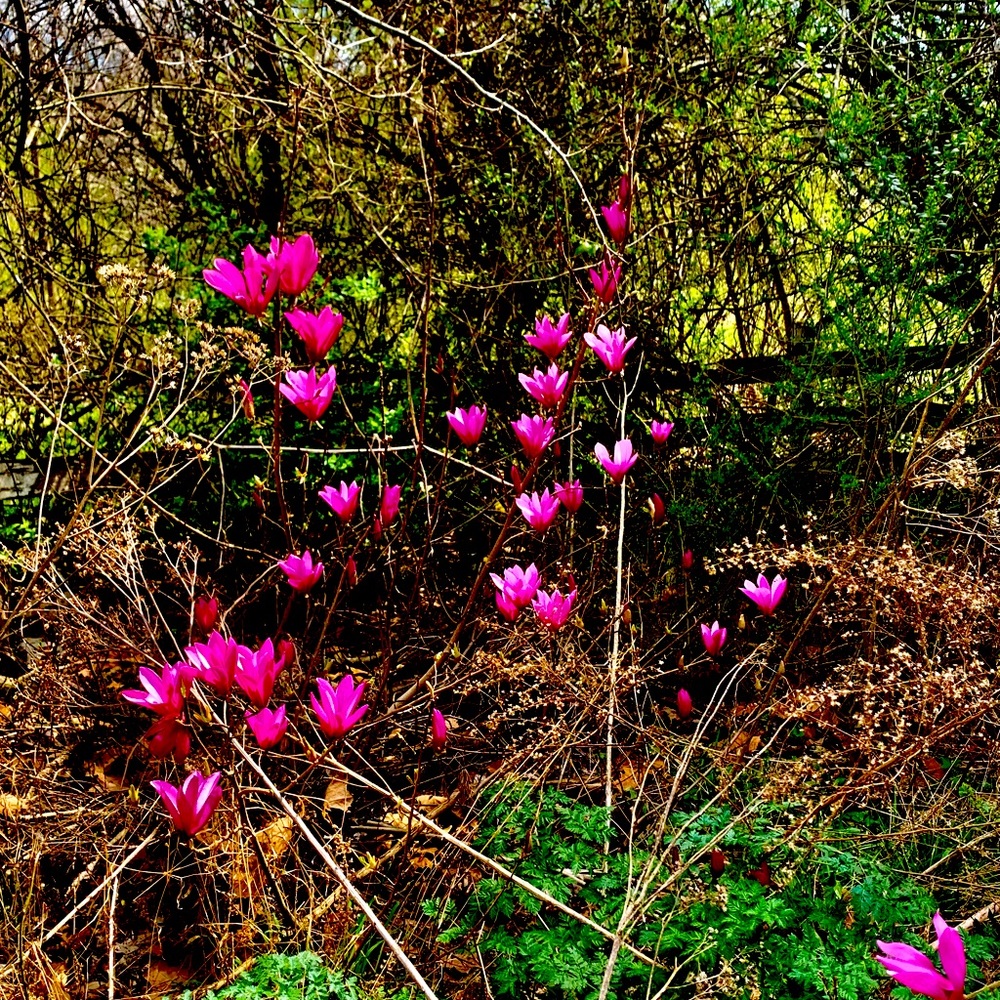 Meet your Posher, Amie